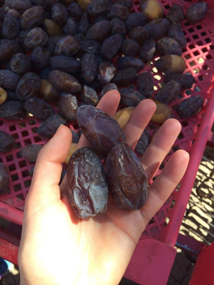 medjool dates dating 50 medjool dates dating 50