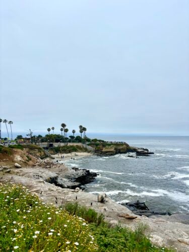 What to Do in San Diego (with little kids!) - Hummusapien