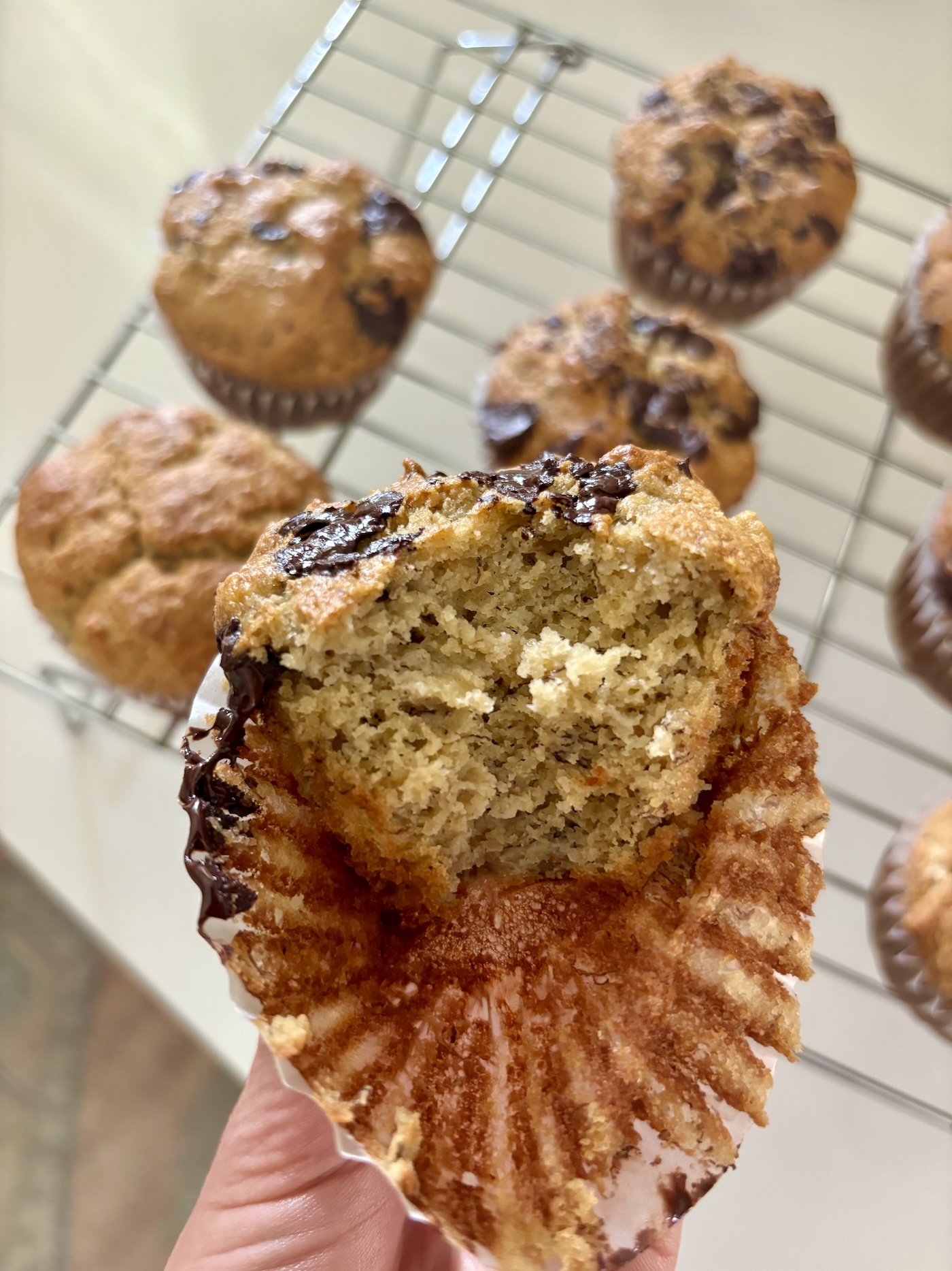 muffins