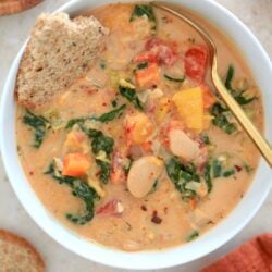 white bowl of tomato soup with kale and beans