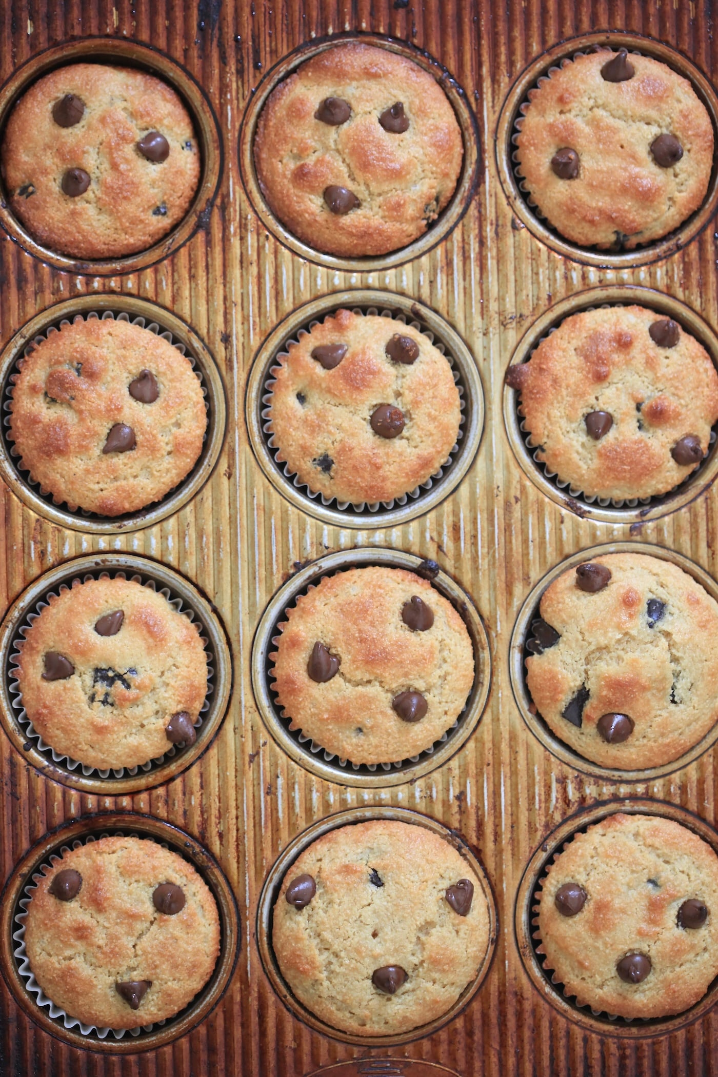 baked muffin in metal tin.