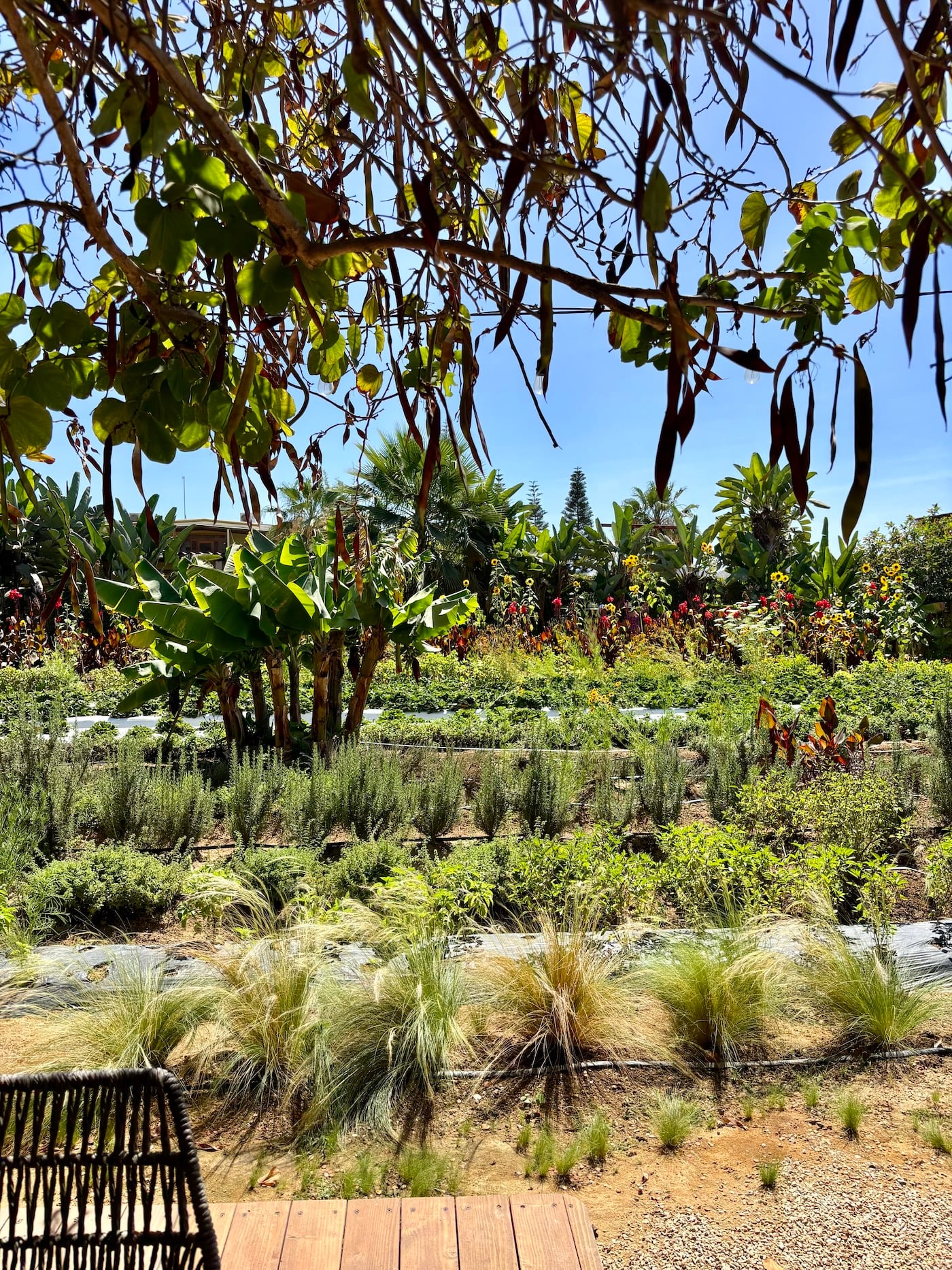 gardens